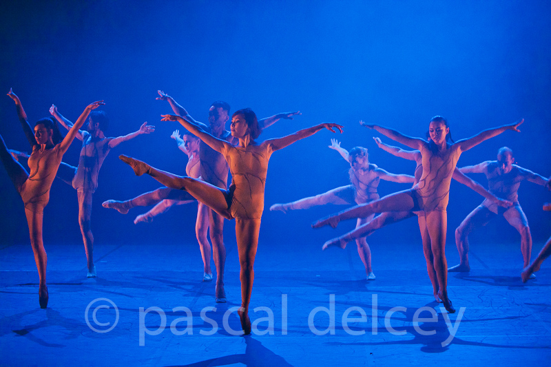 446-20ans2012