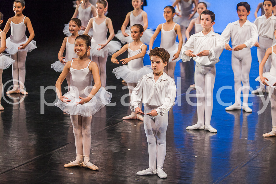 1146_SFA1-2015