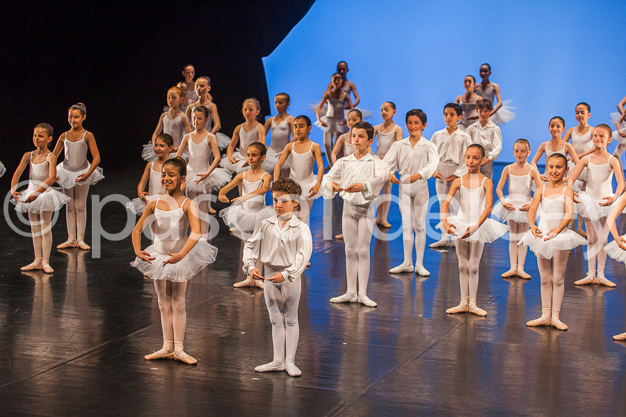 1147_SFA1-2015