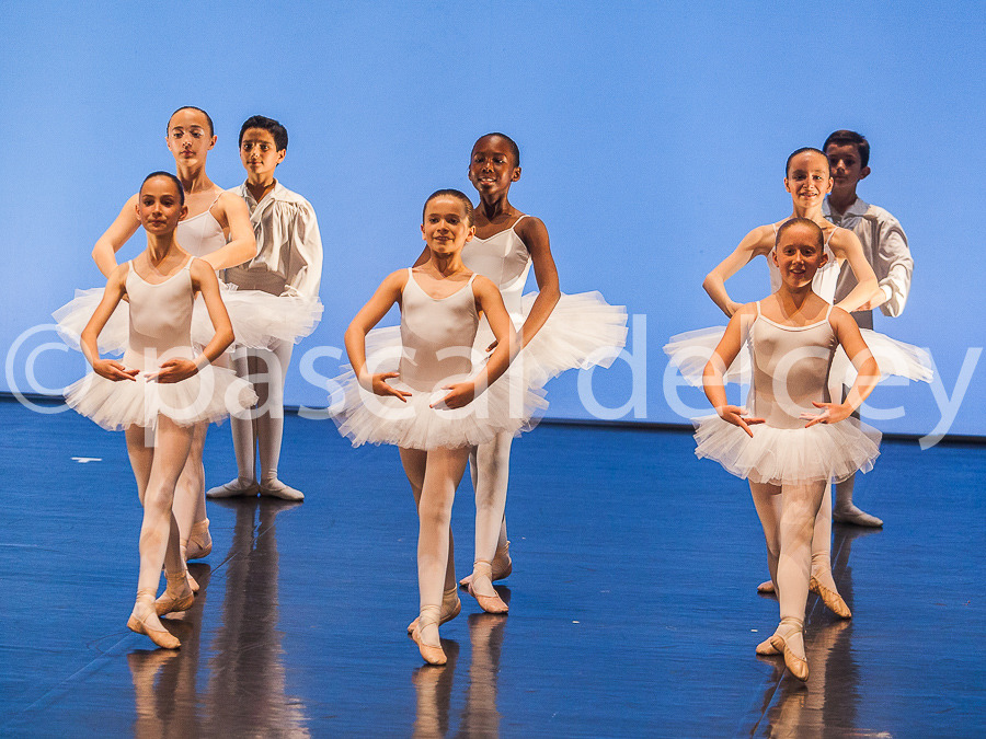 1156_SFA1-2015