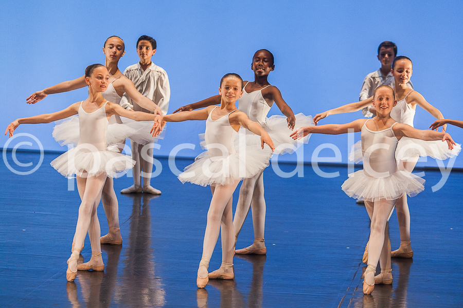 1157_SFA1-2015