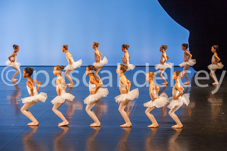 1163_SFA1-2015