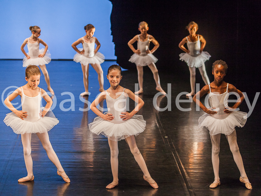 1169_SFA1-2015