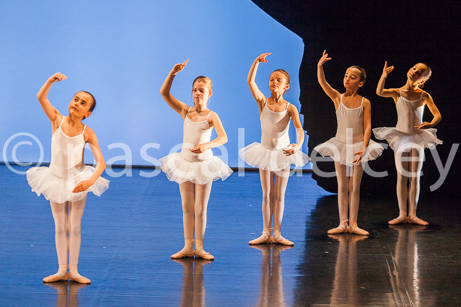 1184_SFA1-2015