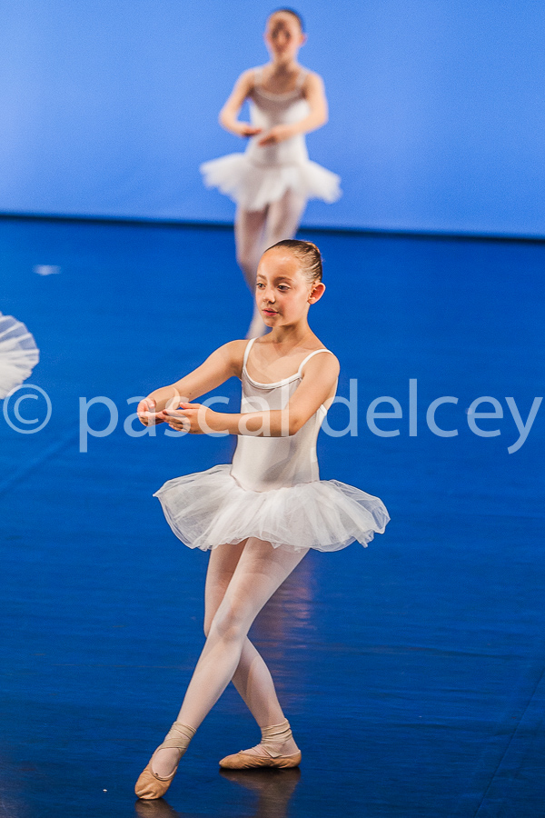 1198_SFA1-2015