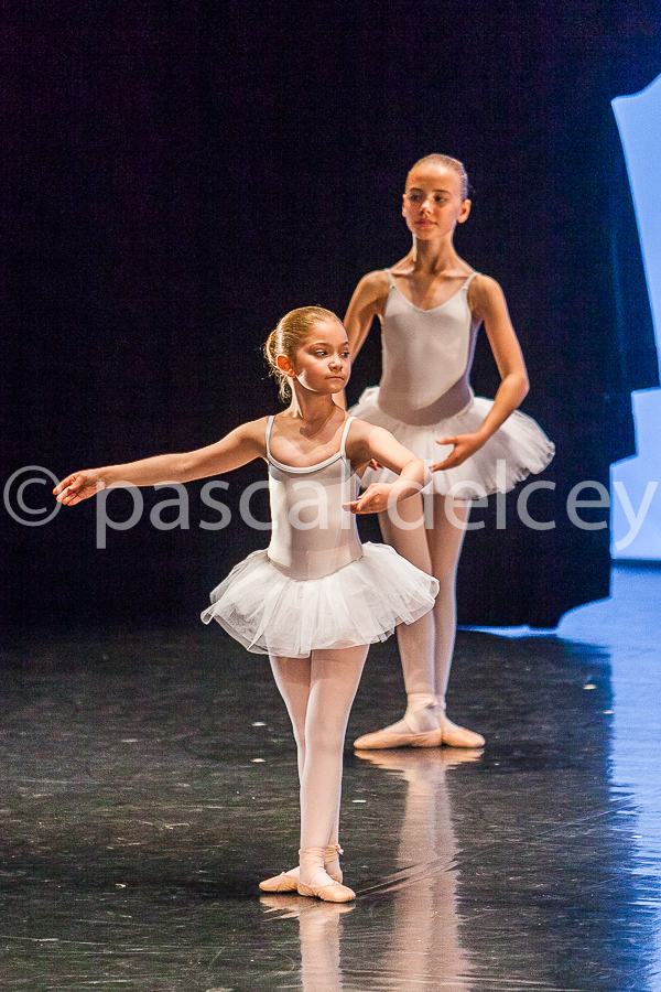 1208_SFA1-2015