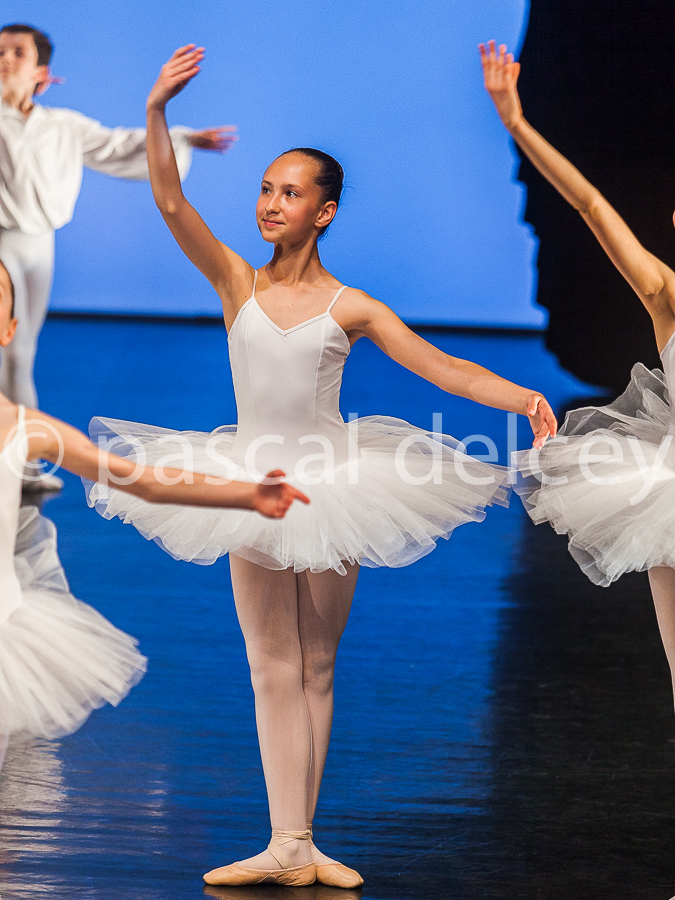 1213_SFA1-2015