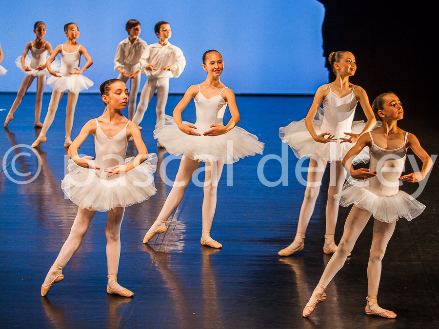 1215_SFA1-2015