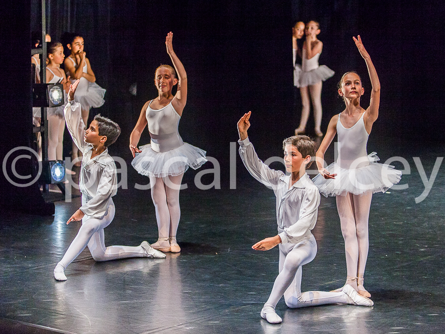 1223_SFA1-2015