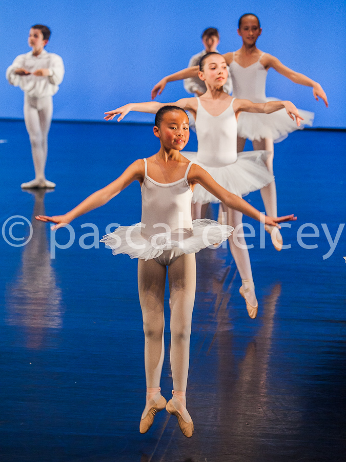 1231_SFA1-2015
