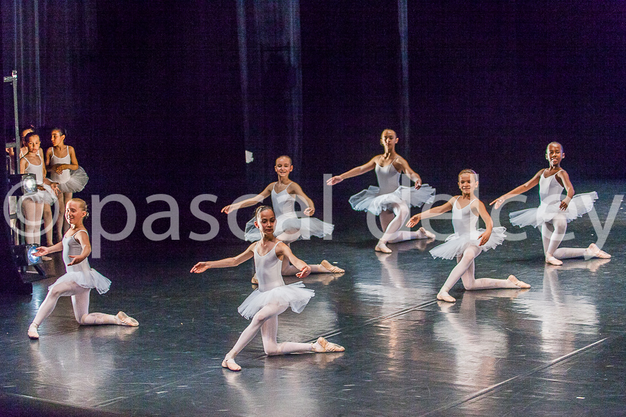 1232_SFA1-2015