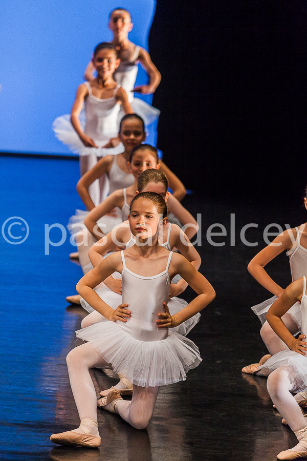 1233_SFA1-2015