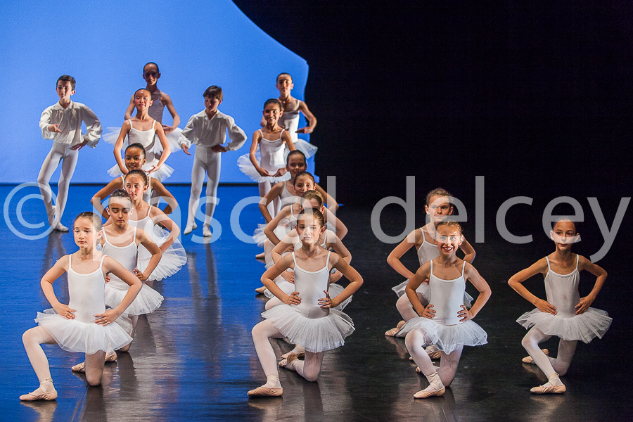 1235_SFA1-2015