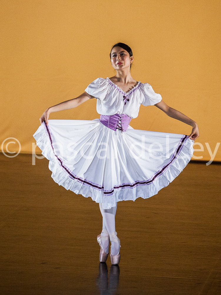 1331_SFA1-2015
