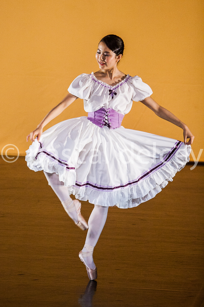 1332_SFA1-2015