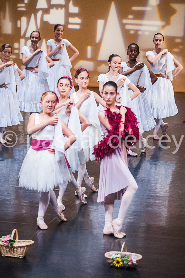 1654_SFA1-2015